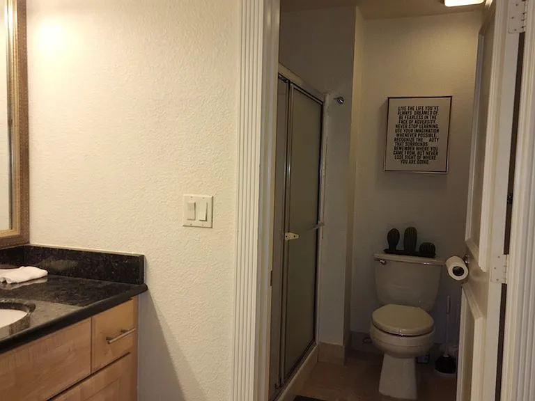 270 E Flamingo Rd #133 — Photo 10