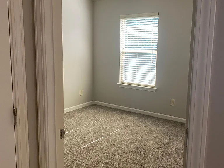 3389 Mulberry Cove Way — Photo 22