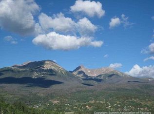 105 Angler Mountain Ranch Rd, Silverthorne, CO 80498
