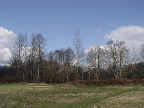 Main Photo From the easement road.