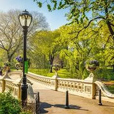 Rented by The Monterey | media 4