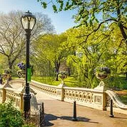 Rented by The Monterey