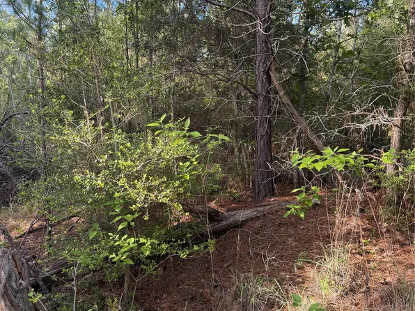 LOT 1384 S Pahihi Dr, Bastrop, TX 78602