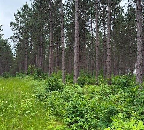 5th image of 20 Acres 5th Ave