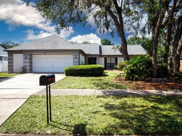 1423 Peachfield Dr, Valrico, FL 33596