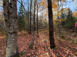 7 Long Rd, Mercer, WI 54547
