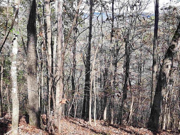 3rd image of (Undisclosed Address)