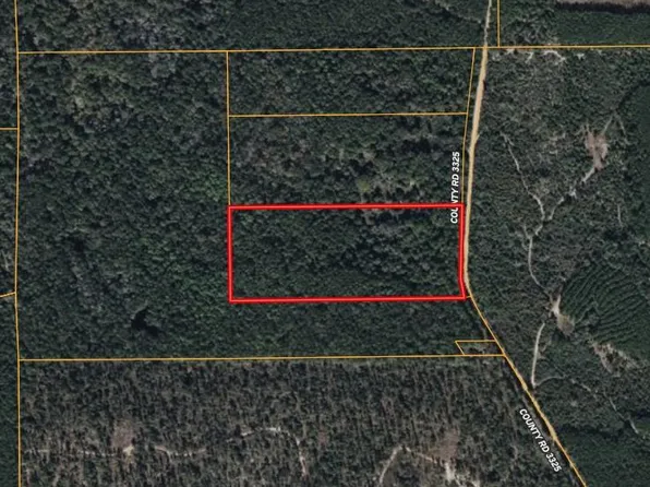R20785 County Road 3325, Colmesneil, TX 75938