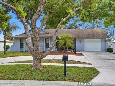 16034 Pine Ridge Dr, Hudson, FL, 34667