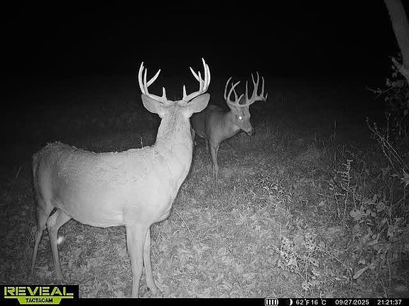5th image of 17797 Dayton Ridge Road