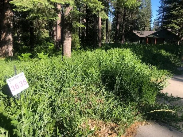 34 Mill House Way, McCloud, CA 96057