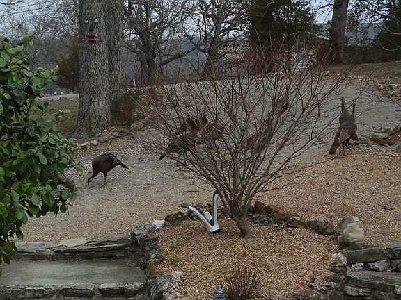 4th image of 922 Hickory Flats Ln