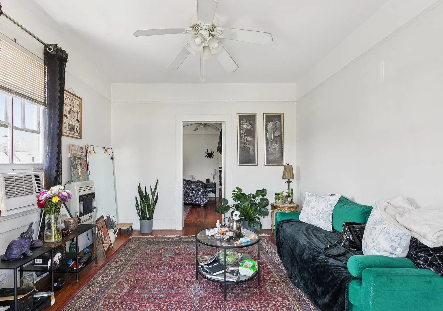 4616Conti — Photo 3