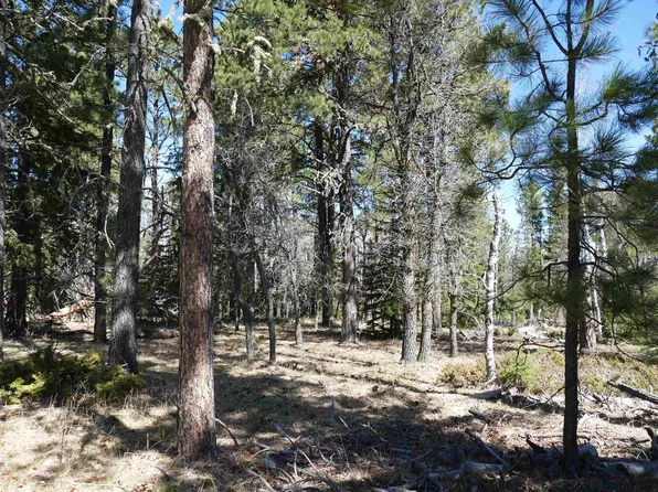 Tbd, Deadwood, SD 57732