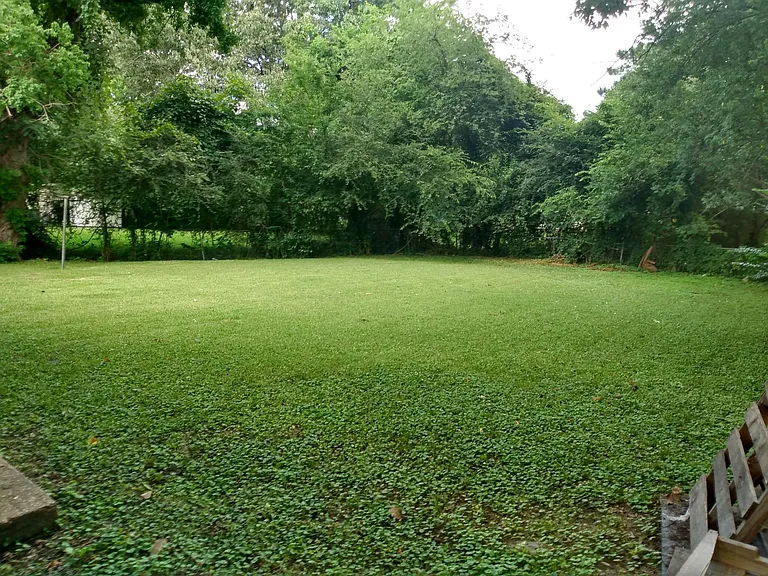 204 Clintview St — Photo 8