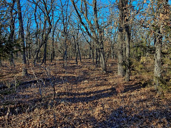 5th image of Corado Rd