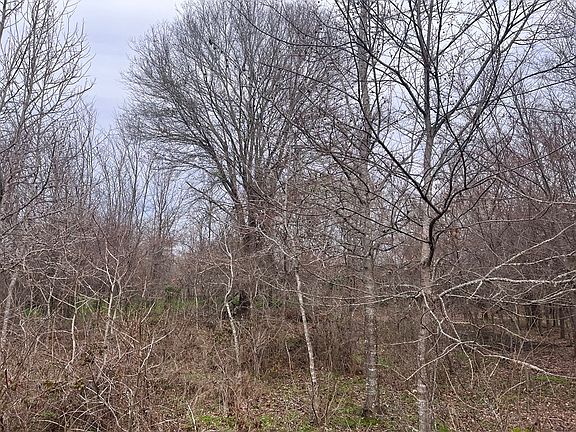 3rd image of 195 County Road 4305