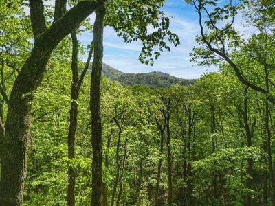 45 Amy Ln, Ellijay, GA, 30540