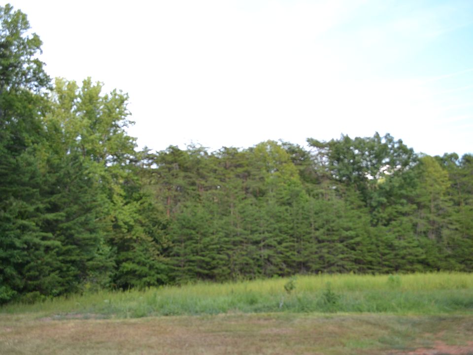 2nd image of 1557 Ridge Rd