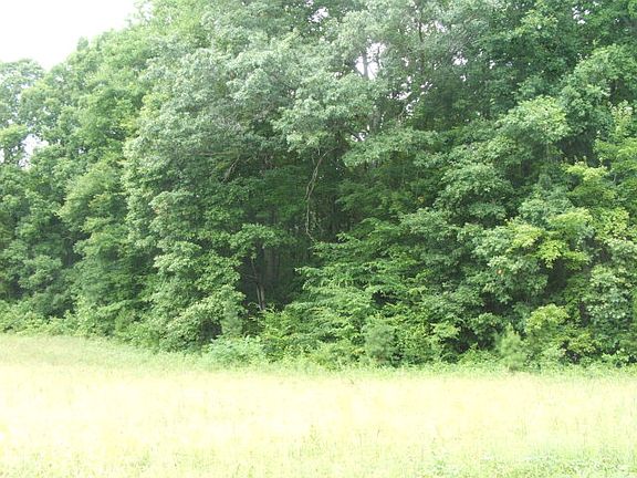 5th image of 2041 Fort Mitchell Dr
