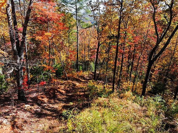 5th image of LOT 46 Utana Bluffs Trl