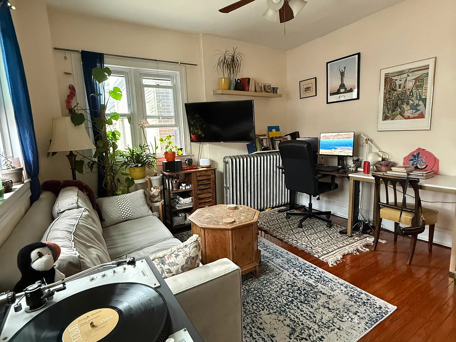 1 bed, $1,250 — Photo 2