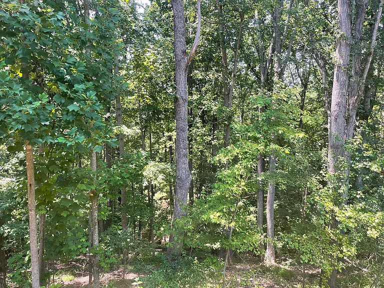 2926 Wallace Rd — Photo 24