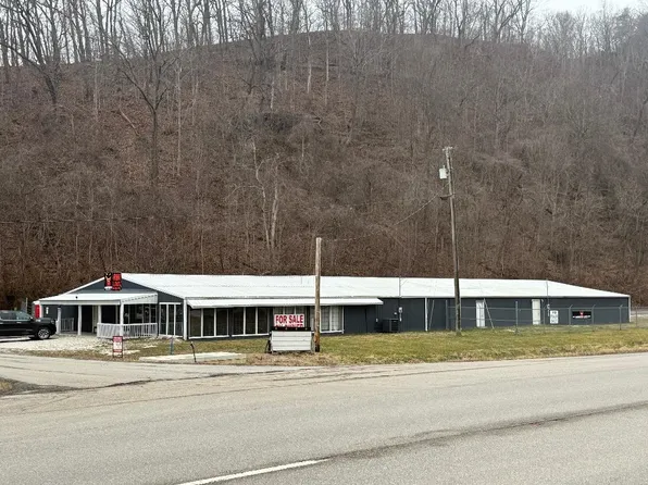 20 Antique Loop, South Shore, KY 41175