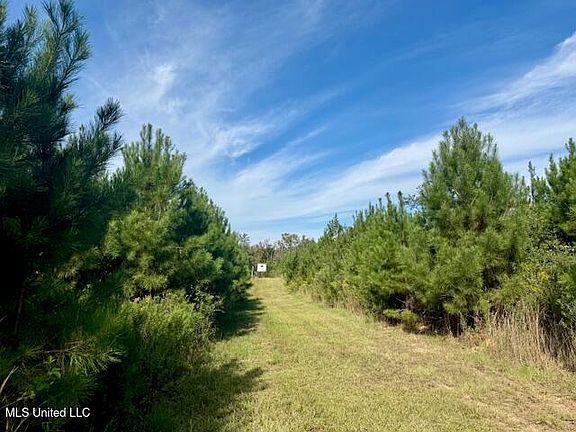 2nd image of Beartown Rd