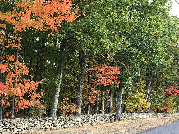 Our road