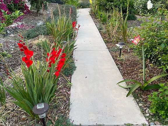 Garden pathway to Casita.