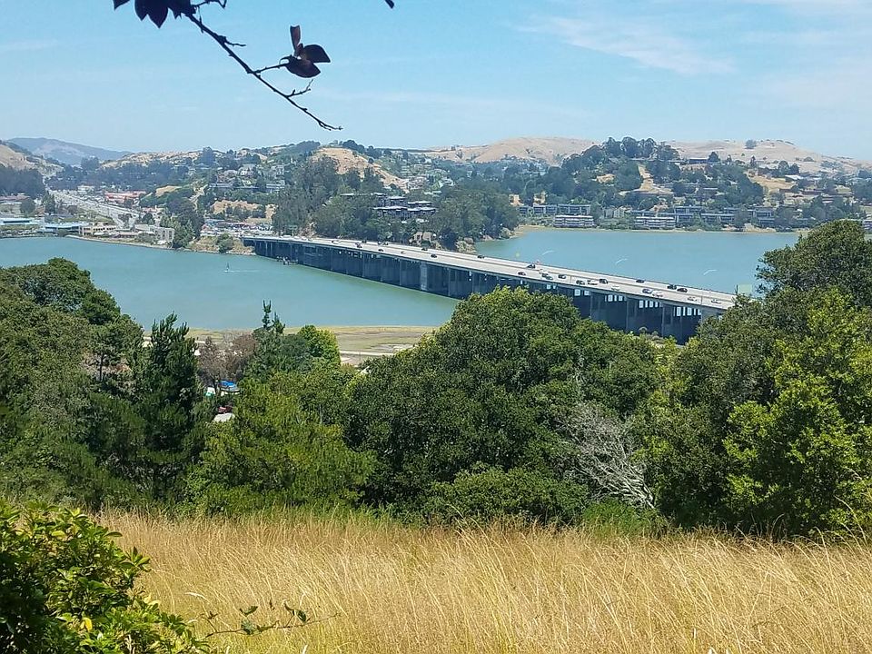 View from all rooms except 2nd bedroom (which views woods at front of townhouse).