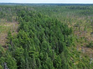 9040 Bone Lake Trl, Newberry, MI 49868