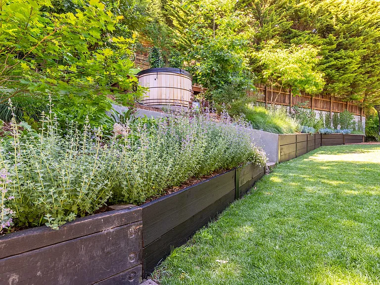 Rear lawn and garden