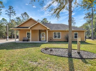 25896 E Lake View Ct, Hockley, TX 77447