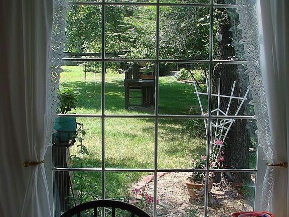 Back yard view from kitchen