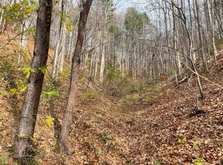 Spivey Mountain Rd, Erwin, TN 37650