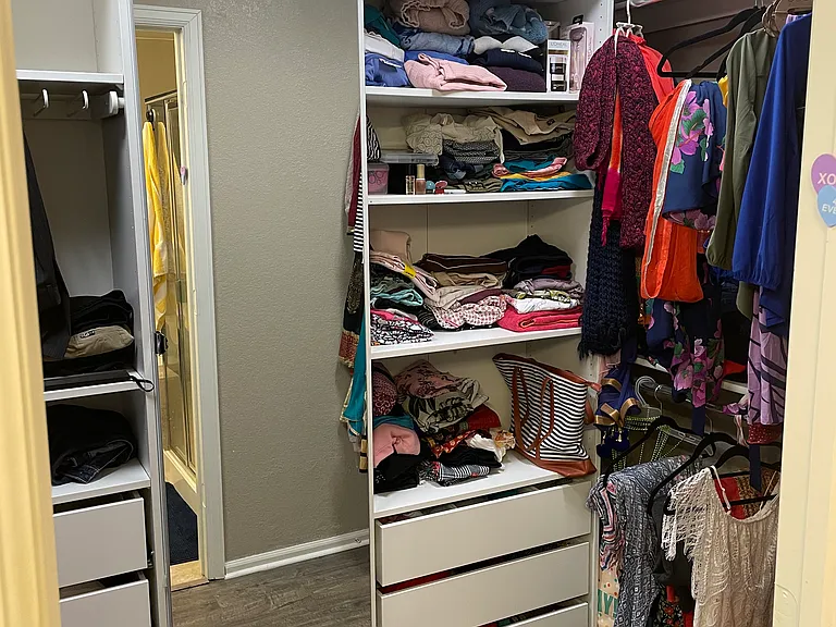Walk in Closet with Organizer