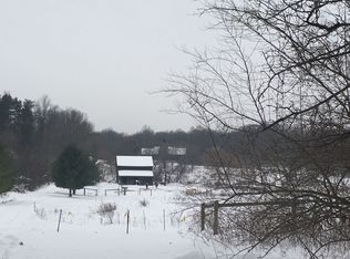 5111 Fighter Rd, Freeport, MI 49325