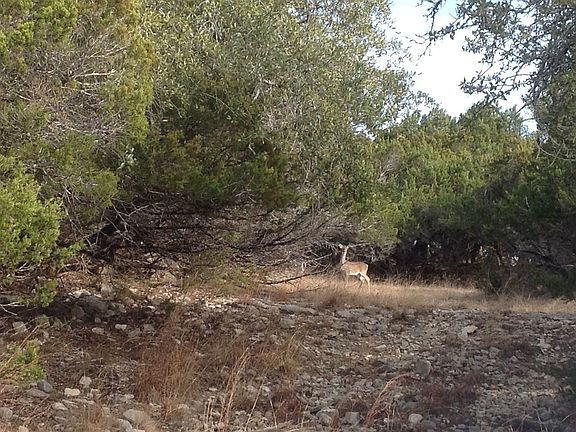 3rd image of 13600 Madrone Mountain Way