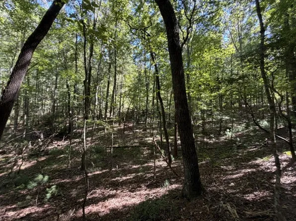 305-433 Seneca Dr, Ellijay, GA 30540