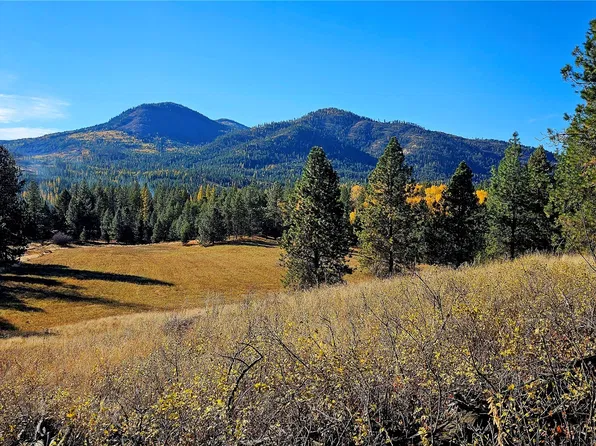 206 X Addy Gifford Road Lot A, Addy, WA 99101
