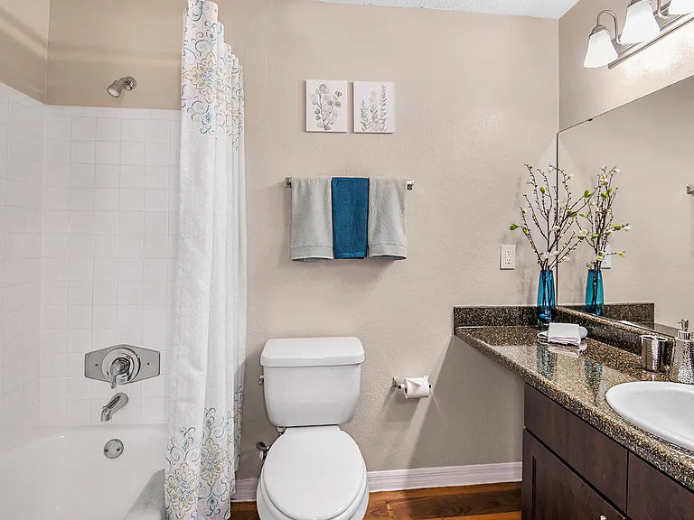 Guest Bath with Soaking Tub and Shower