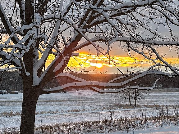 4th image of 239 Rokeby Road