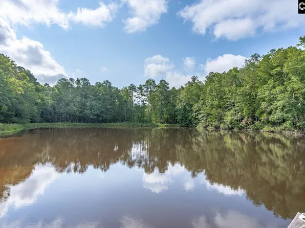 427D Lee Kleckley Rd, Lexington, SC 29072