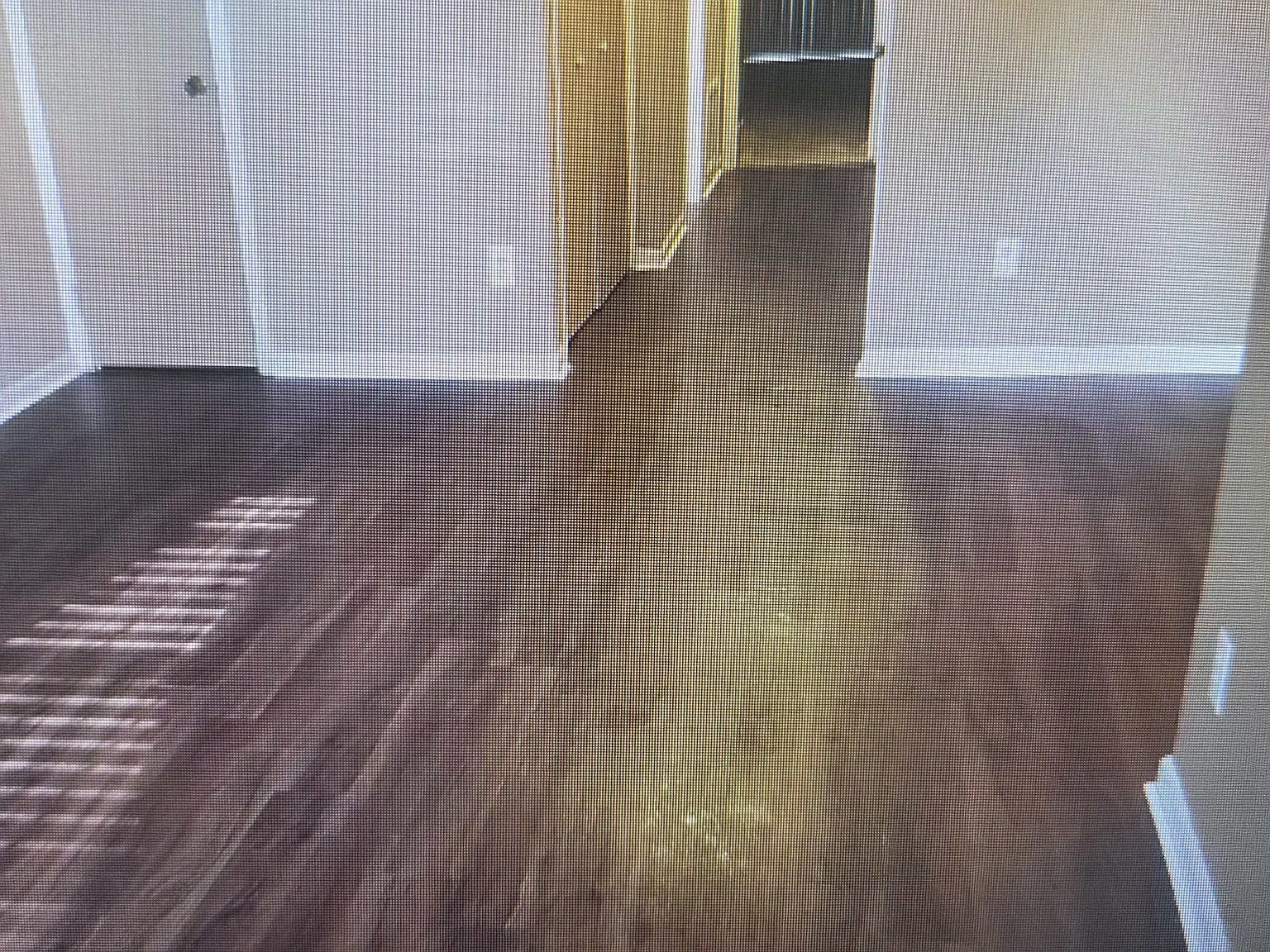 2 bed, 1000 sqft, $1,500 — Photo 2