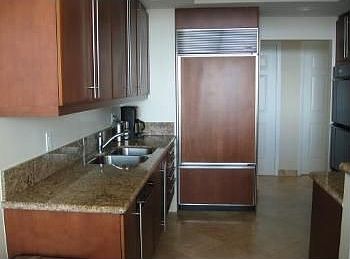 2nd image of 411 N New River Dr E APT 1705