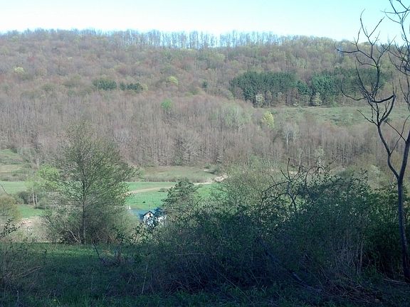 View from Whig Street 