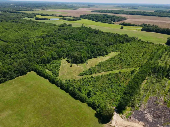 (undisclosed Address), Bald Knob, AR 72010