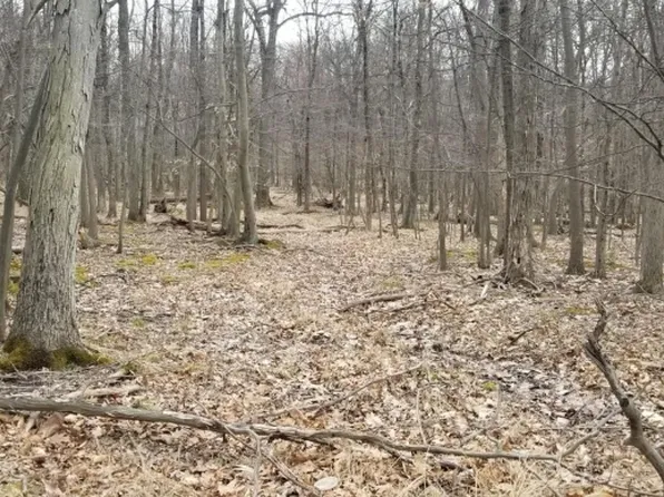 22 Berkshire Dr, Warren Twp., NJ 07059